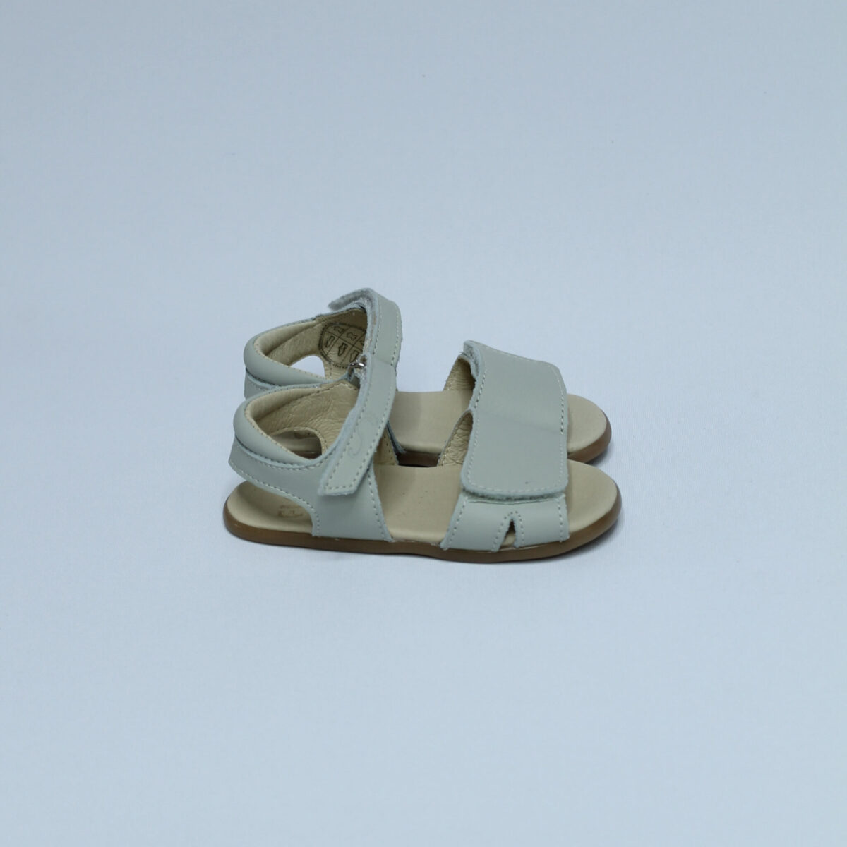 FLEXI NENS ANDROMEDA TE